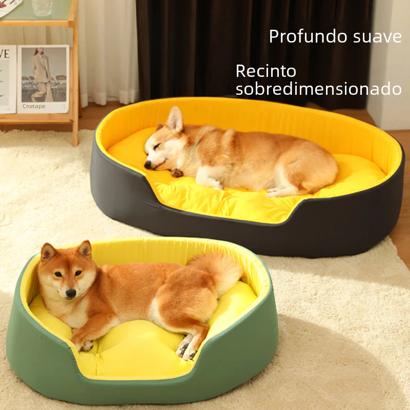 Two dogs in oversized pet beds with a yellow interior and black or green exterior.