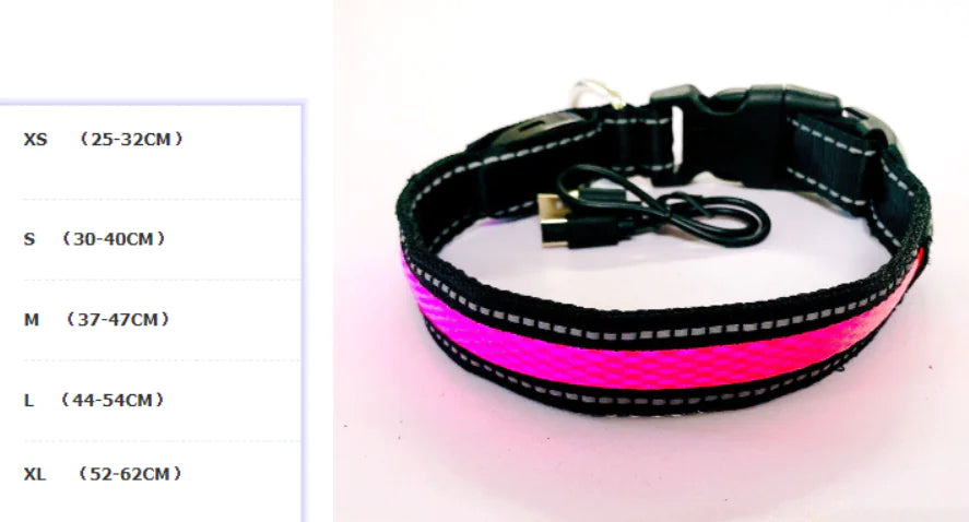 Pink LED dog collar with USB charging cable on a white background, with size chart on the left.