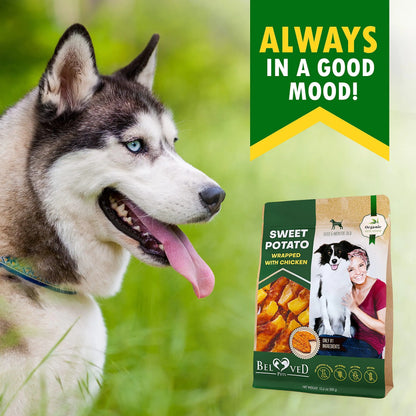 Dog with a package of dog food labeled 'Always in a Good Mood' on a green background