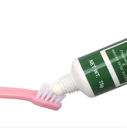 Pink toothbrush with a tube of toothpaste on a white background