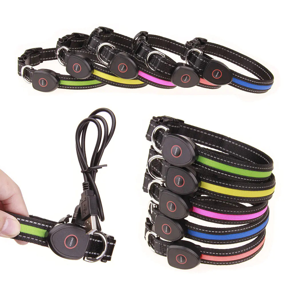 USB Rechargeable LED Dog Collar (Peach Shape)