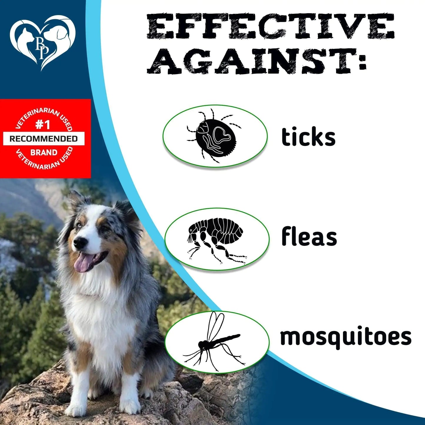 Dog sitting on a rock with pest control product packaging featuring icons of ticks, fleas, and mosquitoes.