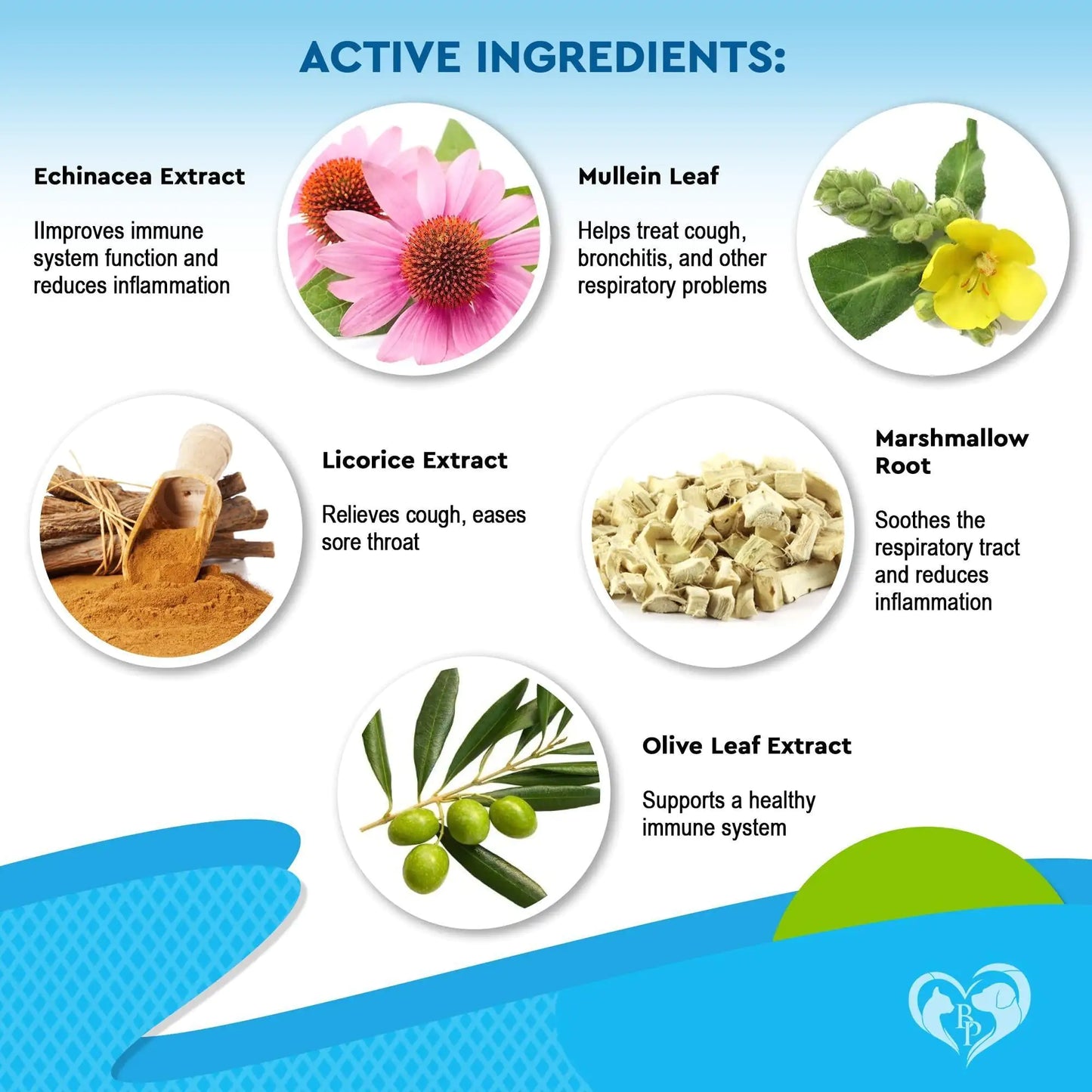 Illustration of active ingredients with images and text on a blue background