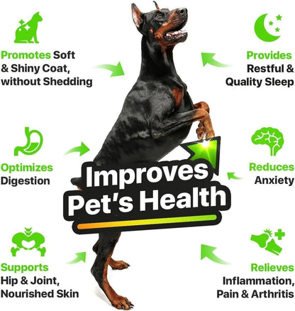 Dog standing on a white background with health benefits text and icons.