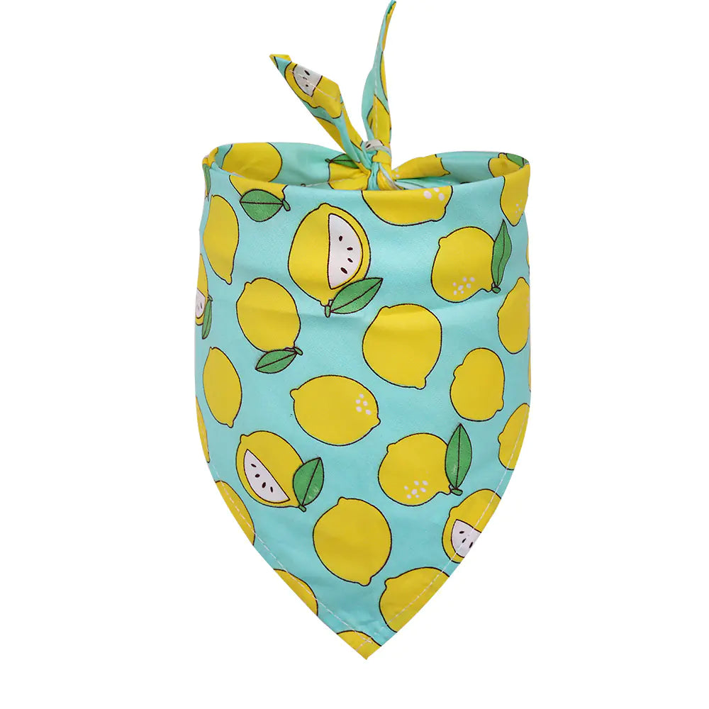 Baby romper with lemon pattern on a white background