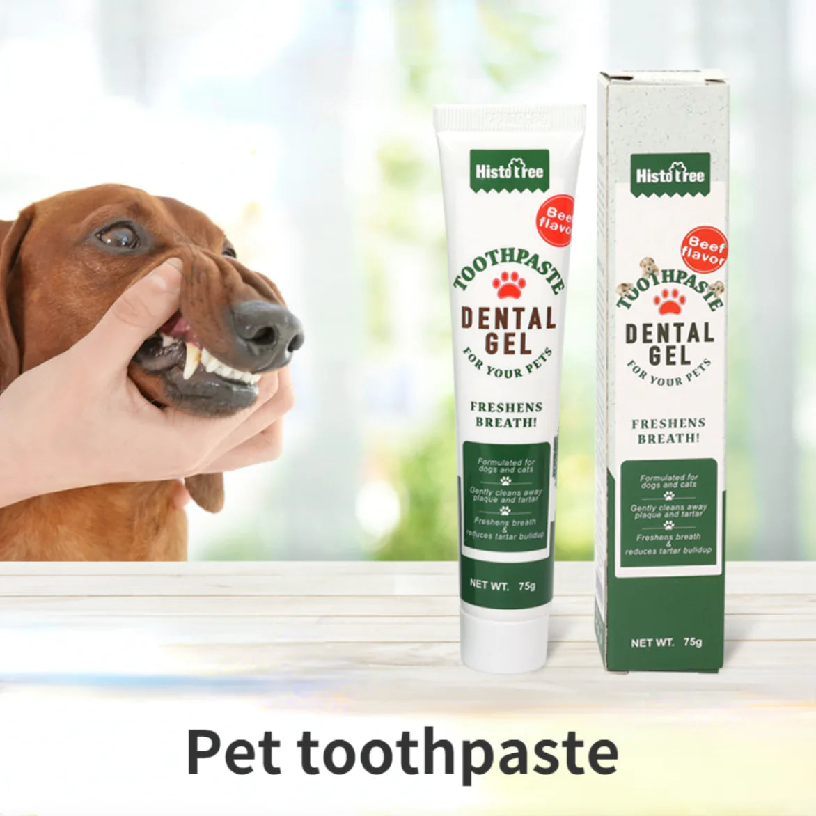 Pet toothpaste with a dog and a hand holding it, on a blurred natural background.