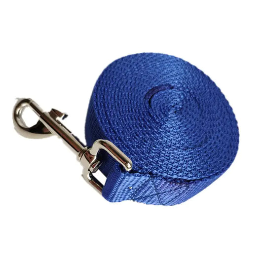 Blue dog leash with metal clip on a white background