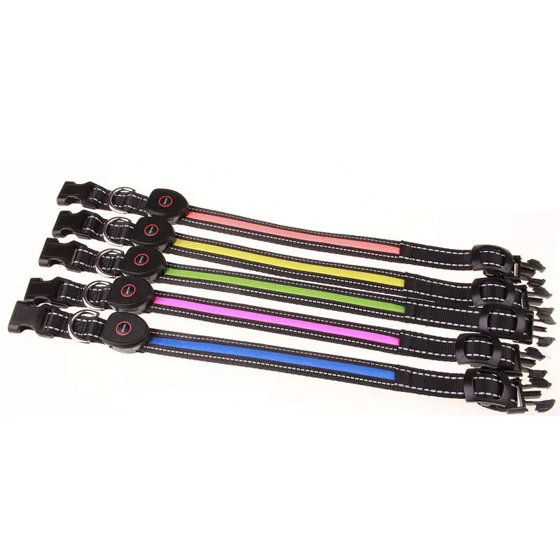 USB Rechargeable LED Dog Collar (Peach Shape)