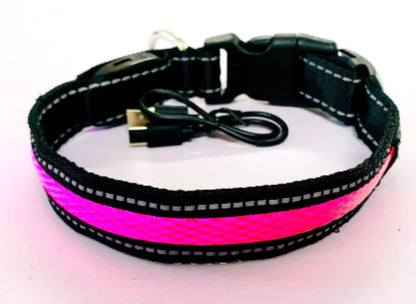 Black and pink LED dog collar with USB cable on a white background