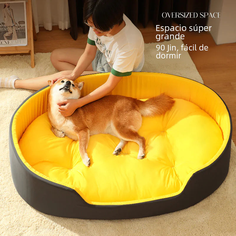 Dog lying on a large yellow pet bed with a person petting it, in a home setting.