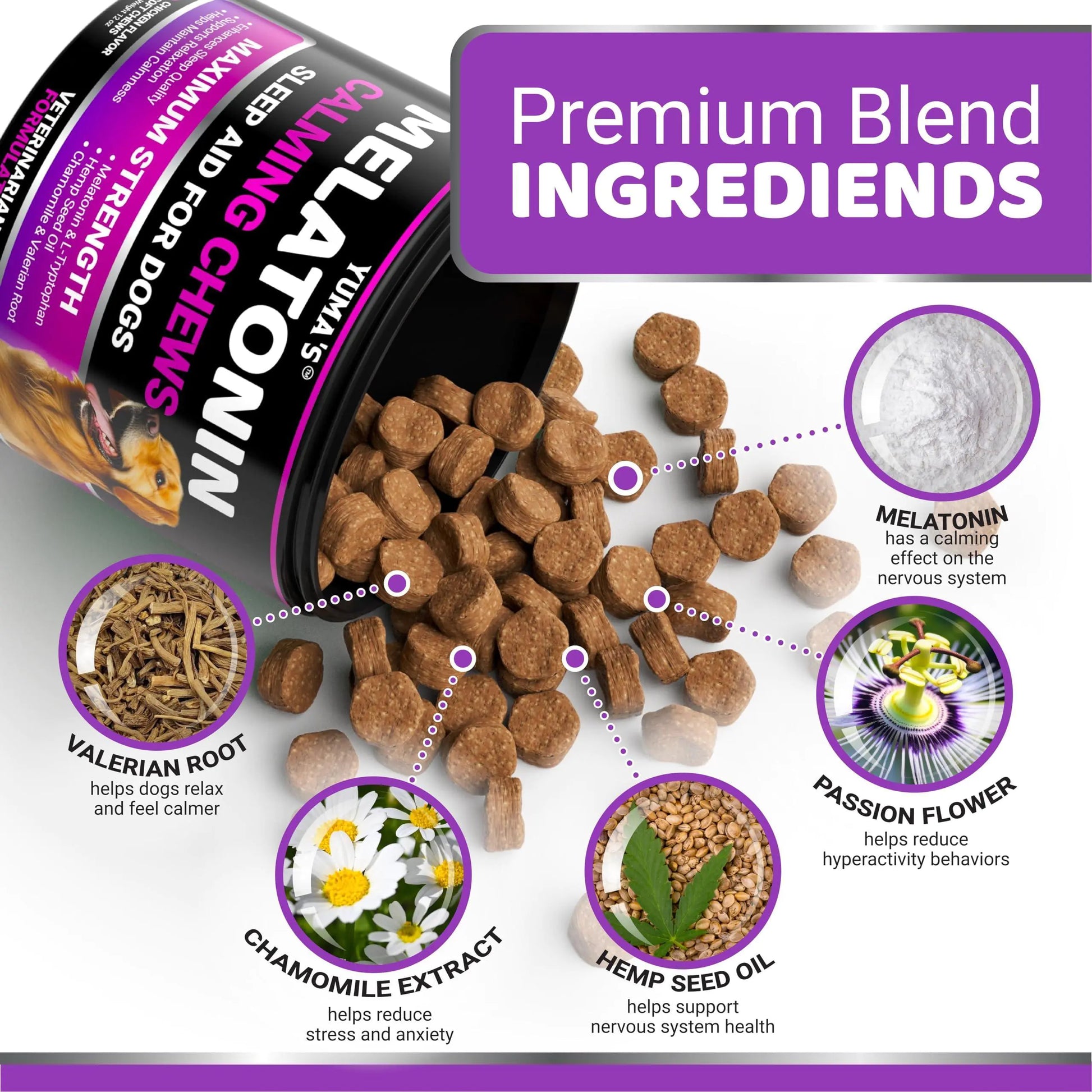 Dog food packaging with ingredients labeled on a white background