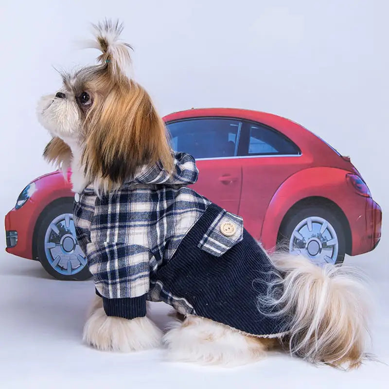 Dog wearing a plaid jacket with a red car in the background