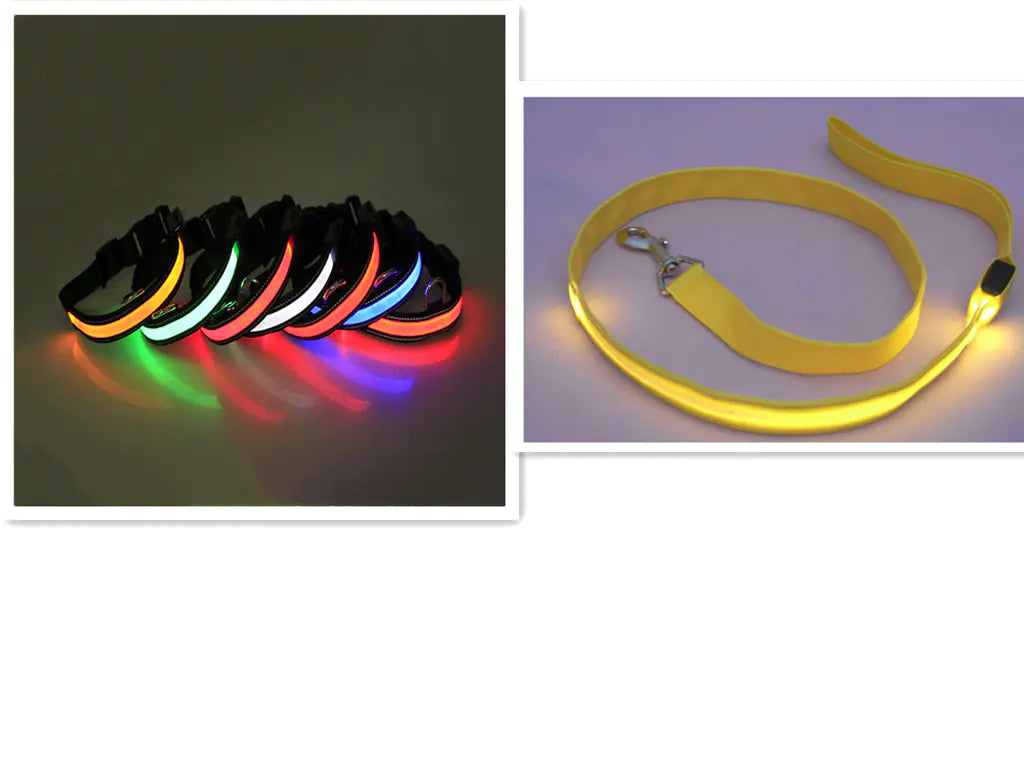 LED Dog Leash with Fluorescent Dog Collar