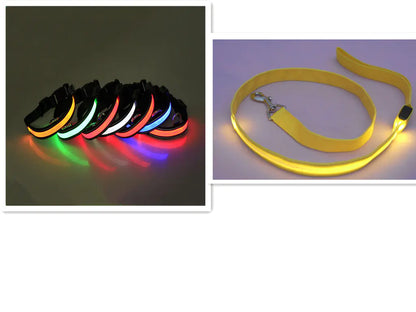 Set of colorful LED dog collars on a dark background and a yellow LED dog leash on a light purple background.