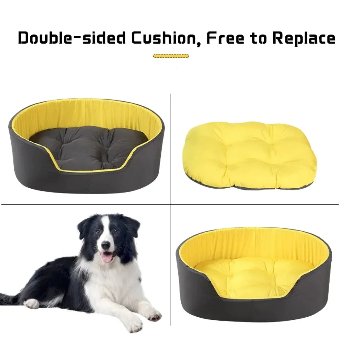 Dog bed with yellow and black sides, showing a dog lying on it.