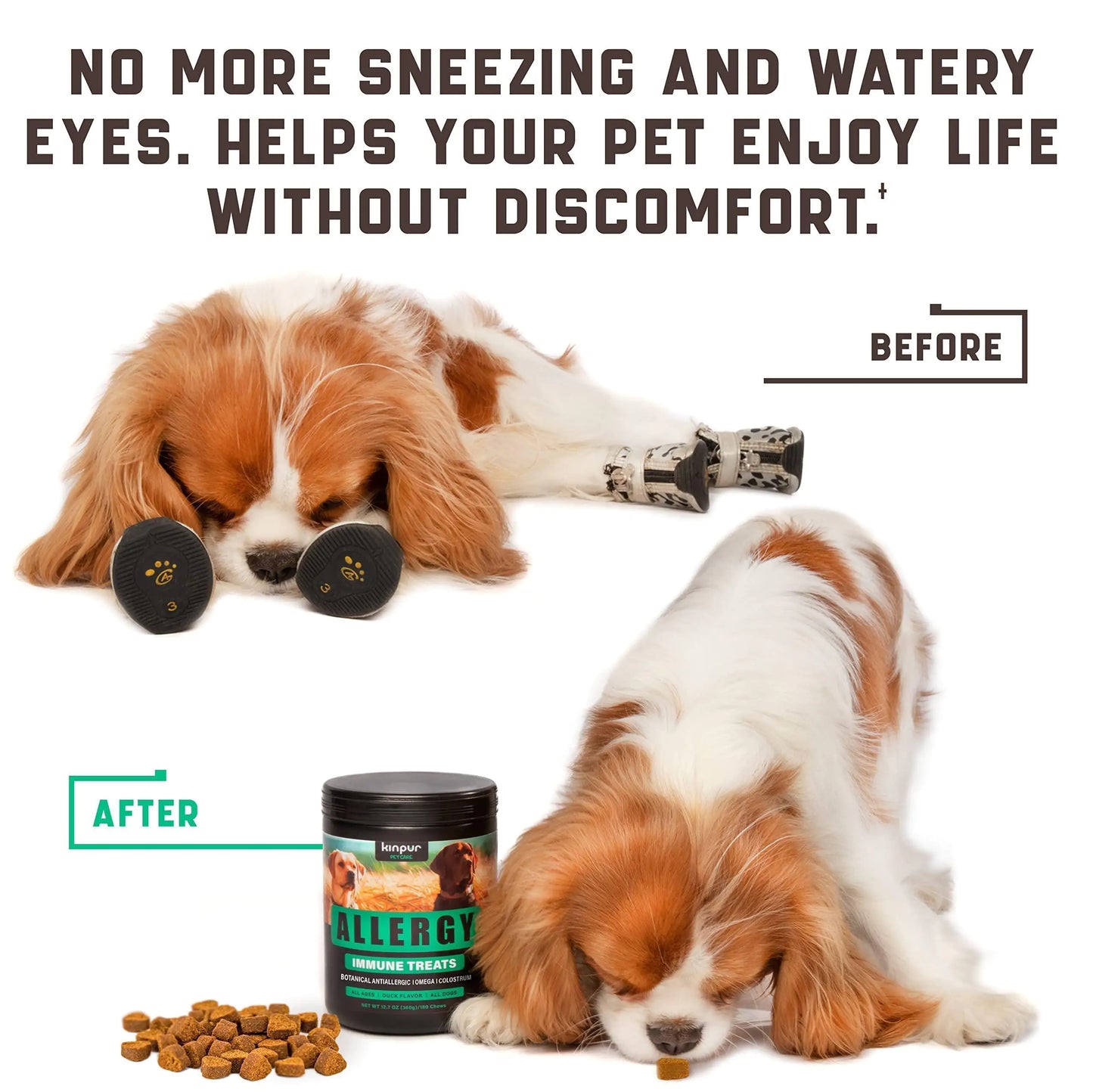 Dog with allergies before and after using a product, with text about relief from sneezing and watery eyes.