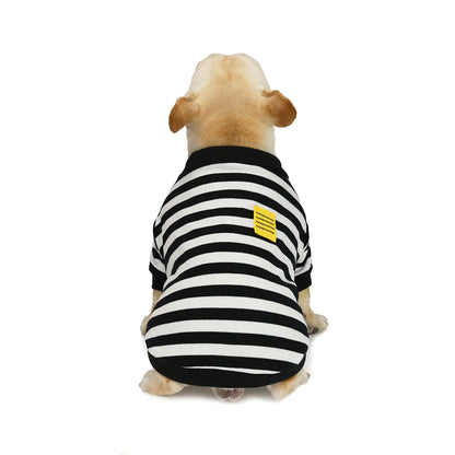 Dog wearing a black and white striped shirt with a yellow label on a white background