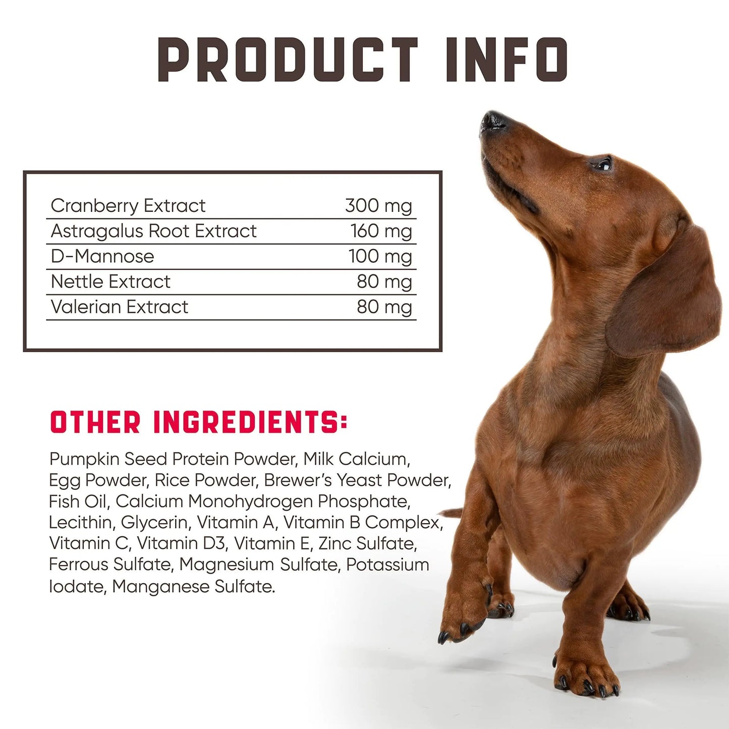 Dog standing on a white background with product information text overlay