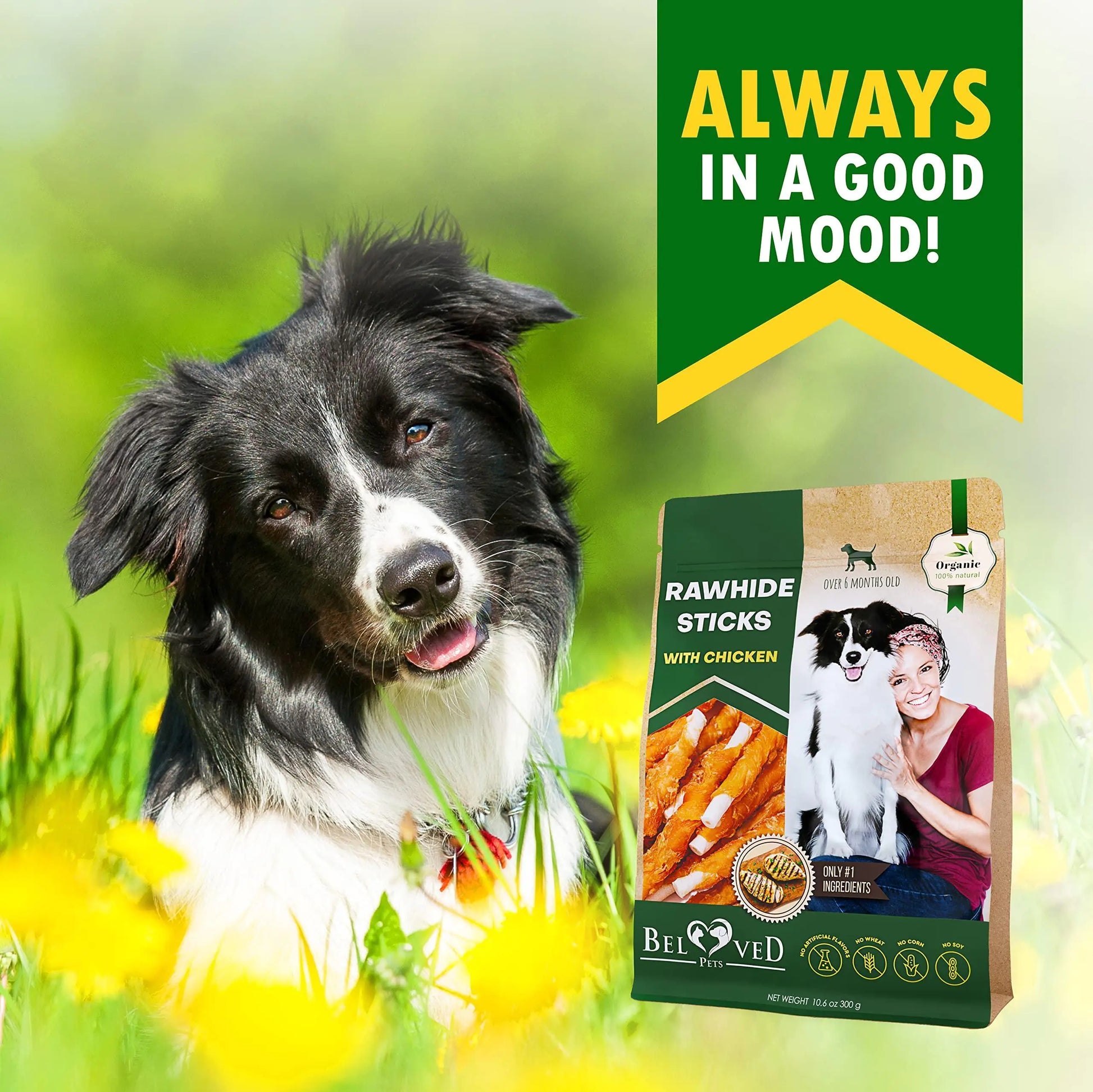 Dog sitting in grass with a package of Beloved Rawhide Sticks for dogs in the background