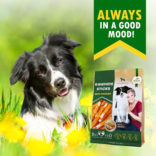 Dog sitting in grass with a package of Beloved Rawhide Sticks for dogs in the background