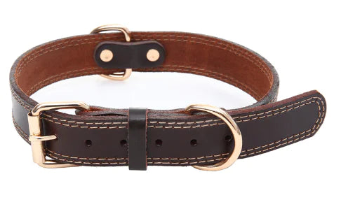 Brown leather dog collar with brass hardware on a white background