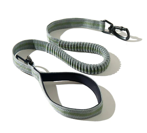 Green and black dog leash on a white background