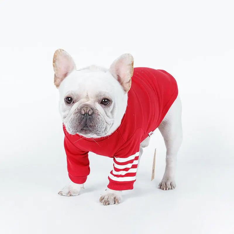 New Spring Autumn Dog Hoodies for Small Dogs