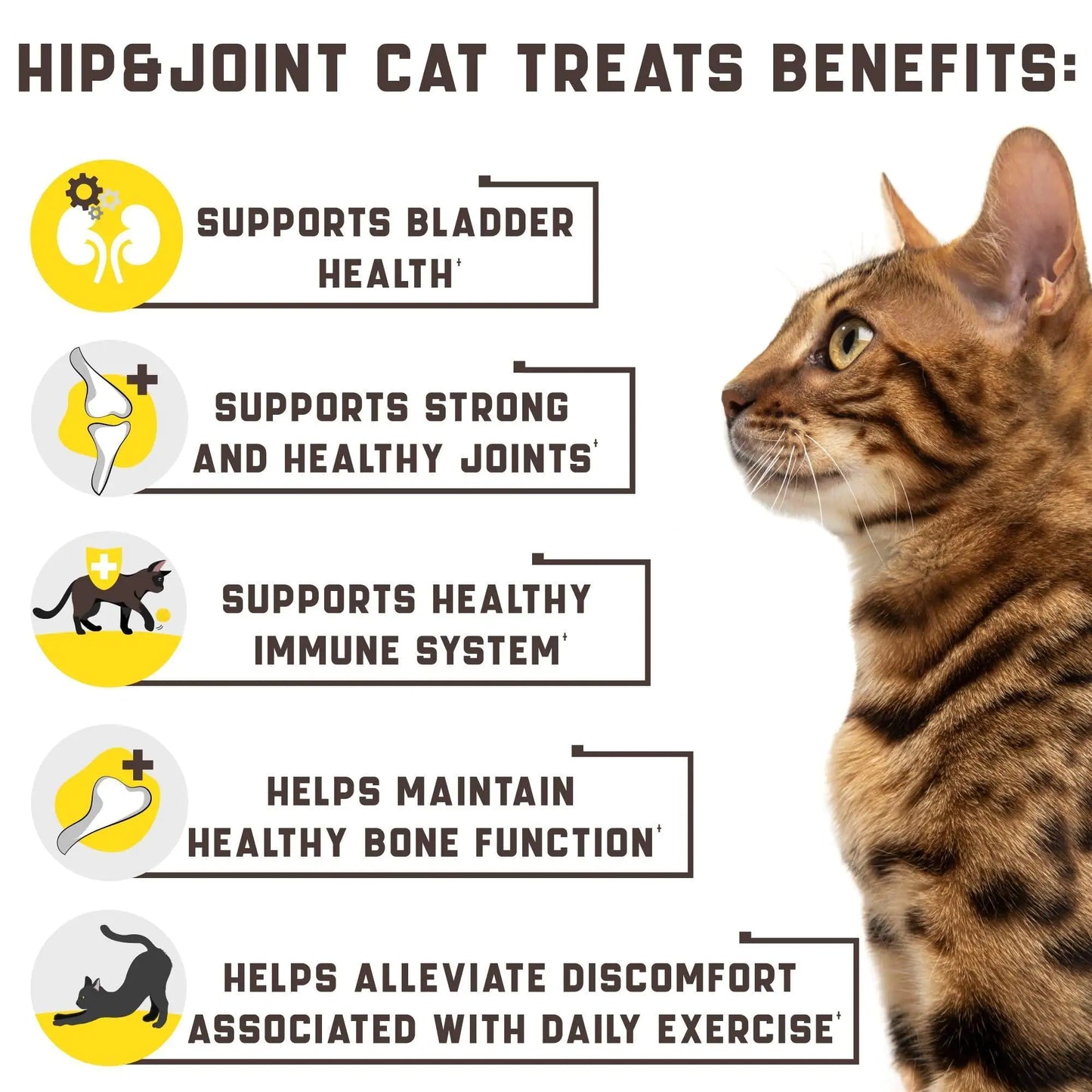 Cat treats benefits infographic with a cat on the right side