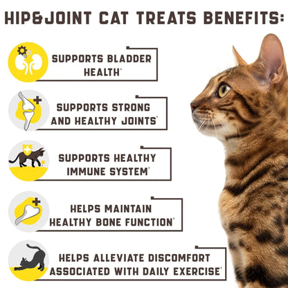 Cat treats benefits infographic with a cat on the right side