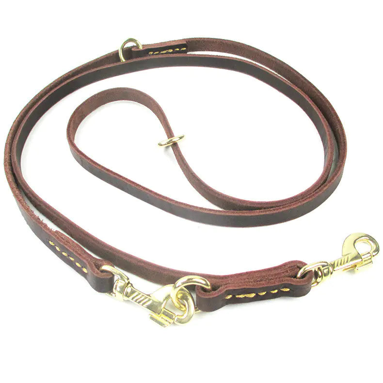 Brown leather dog leash with gold hardware on a white background
