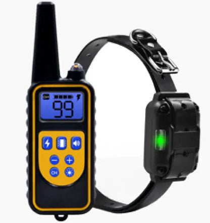 Dog training collar with remote control on a white background