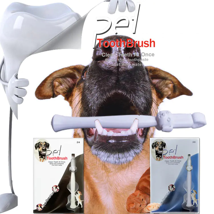 Portable Pet Tooth Cleaning Wipes for Easy Hygiene