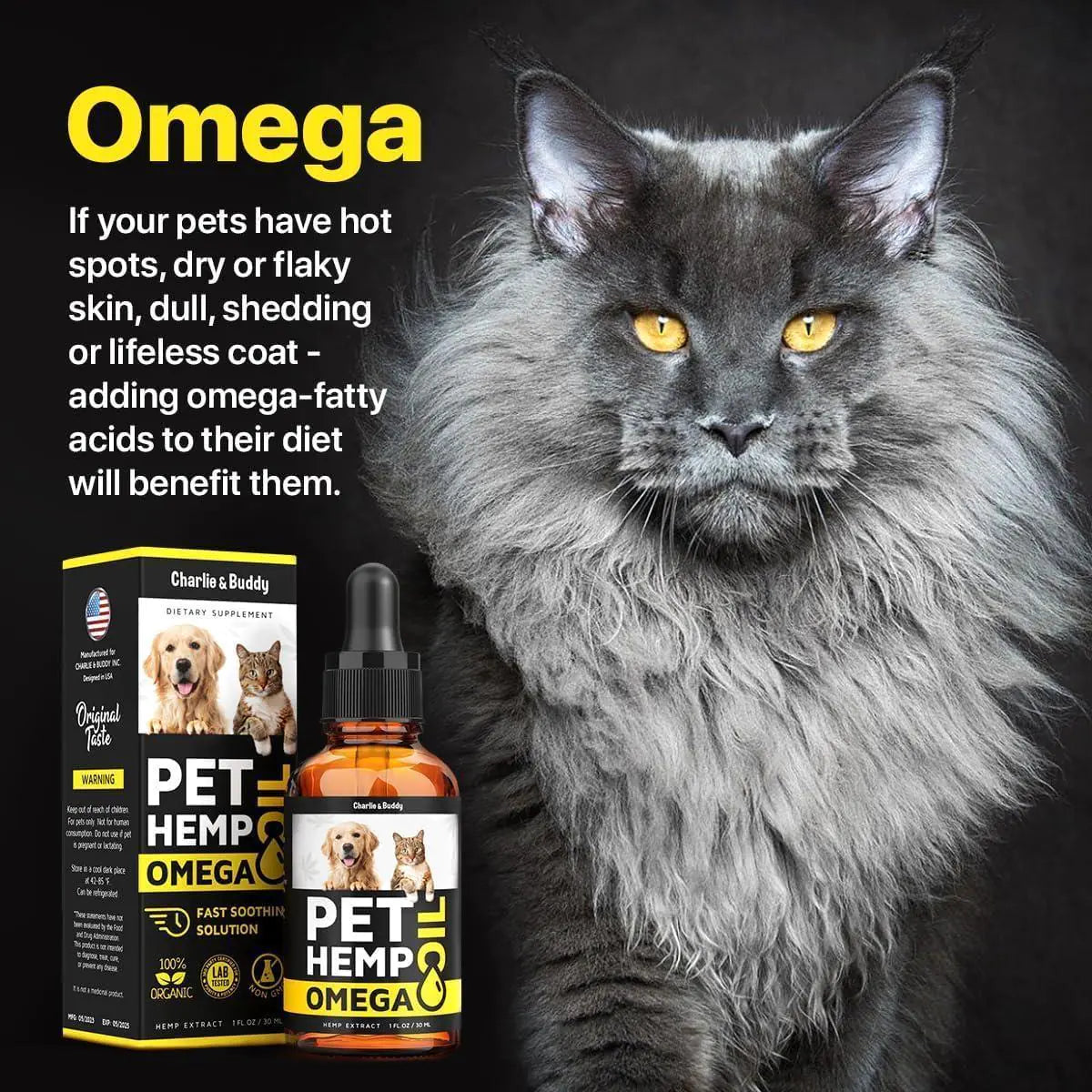 Cat with Pet Hemp Omega product packaging and bottle on a dark background