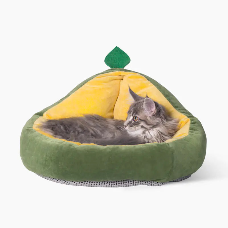 Cat lying in a green avocado-shaped pet bed on a white background