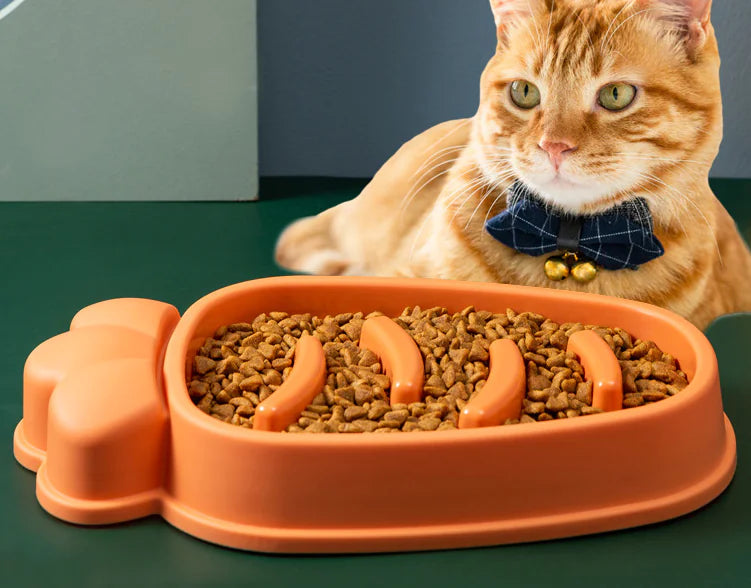 Cat with a blue bow tie sitting next to an orange pet food bowl filled with cat food.