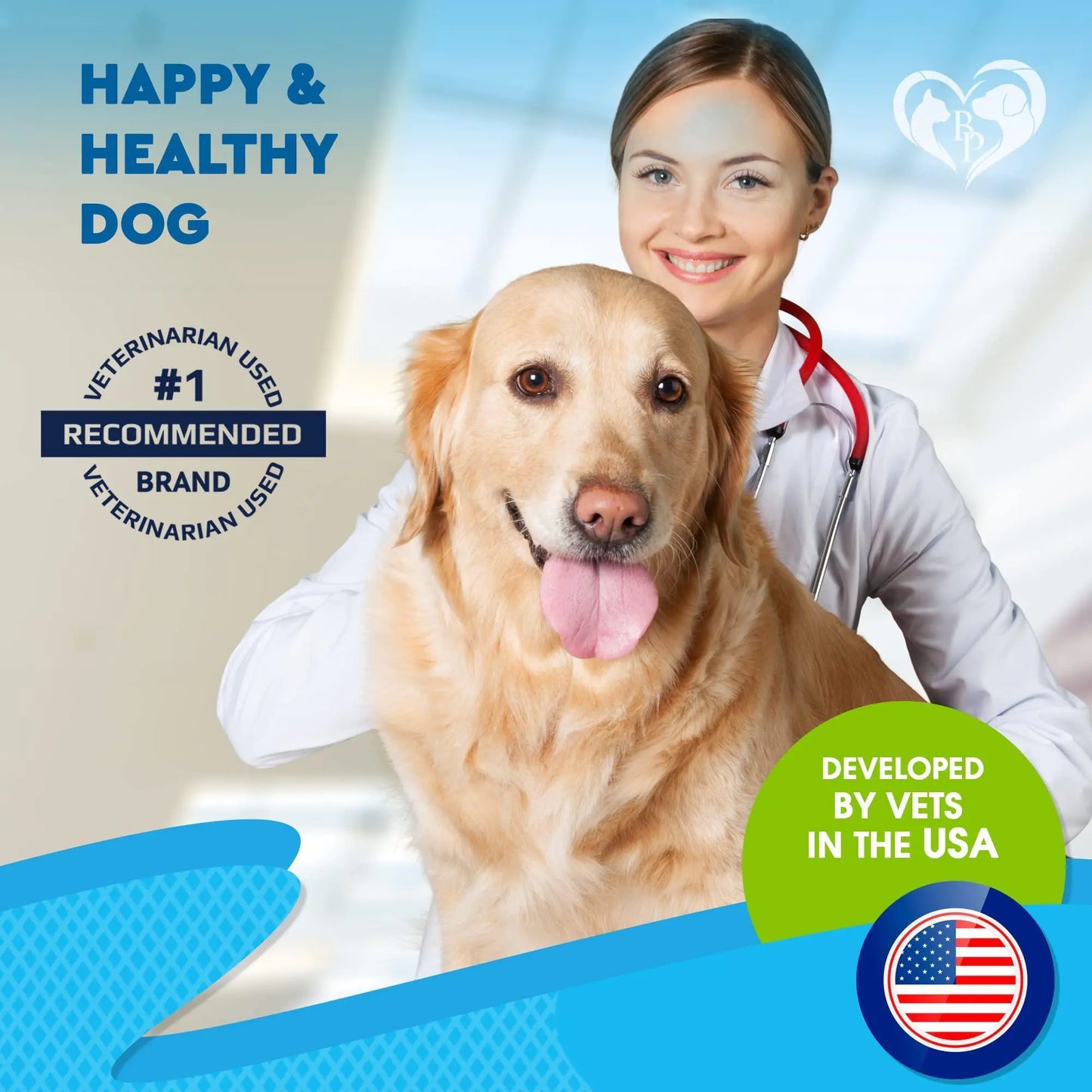 Dog with a veterinarian and branding elements on a blue and white background