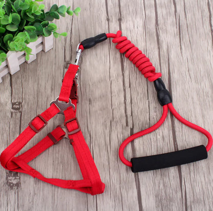 Red dog harness and leash set on a wooden surface with green plants in the background