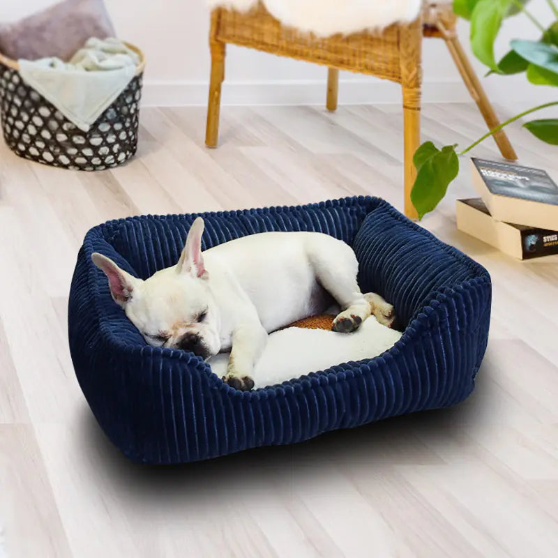 Dog sleeping in a navy blue pet bed on a light wooden floor.