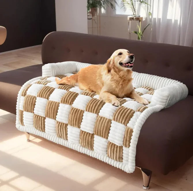 Dog lying on a checkered pet bed in a sunlit room