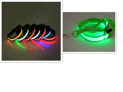 Set of LED dog collars in various colors and a green LED dog leash.