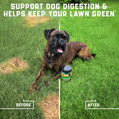 Dog lying on grass with a product container, before and after effect shown.