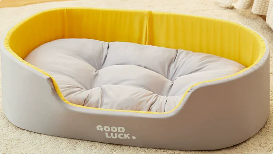 Pet bed with yellow rim and gray cushion labeled 'Good Luck' on a beige carpet.