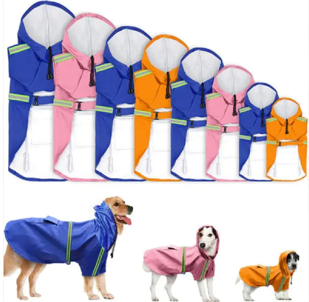 Set of dog raincoats in various colors with two dogs wearing them.