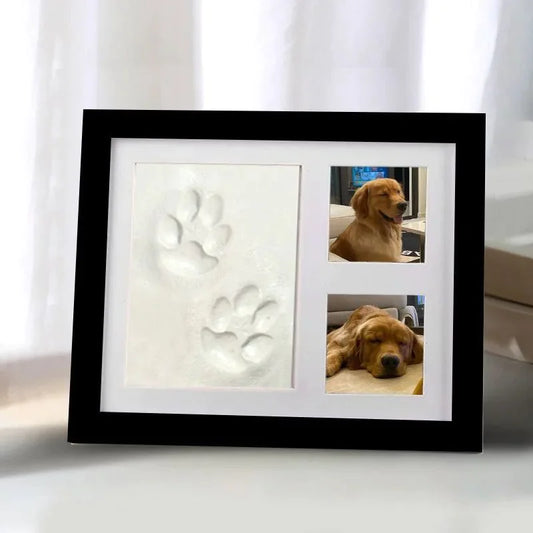 Framed artwork with paw prints and two photos of a dog on a white surface.