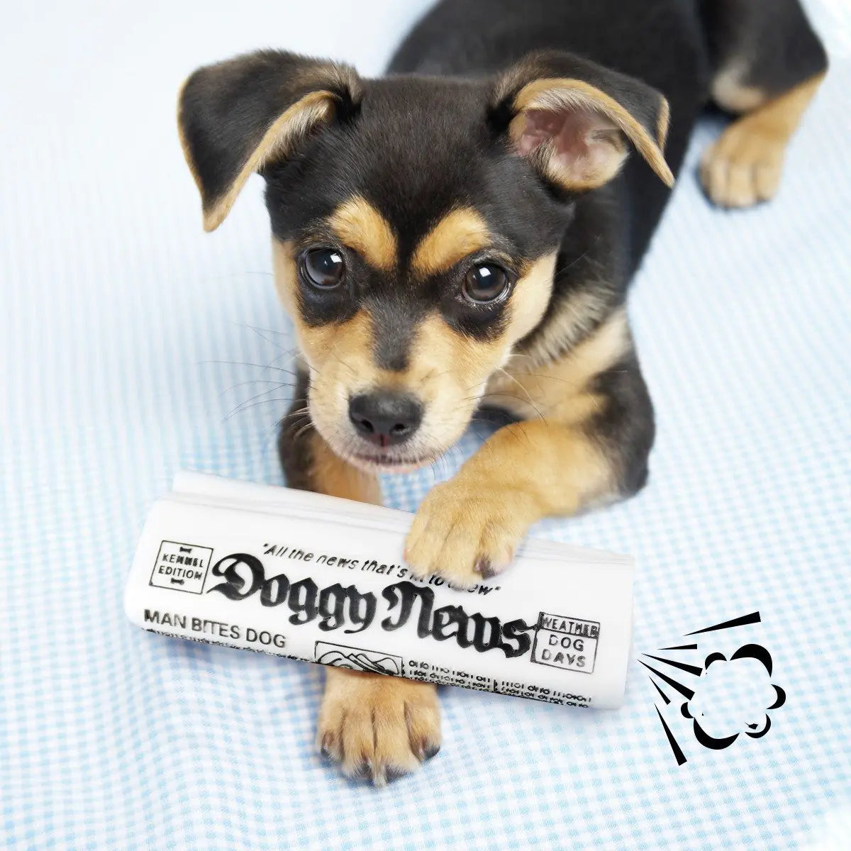 Puppy lying on a blanket with a newspaper titled 'Doggy News' in the foreground.