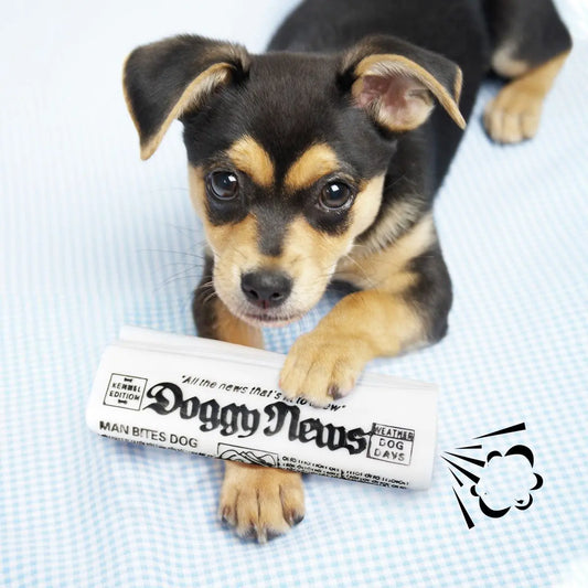Puppy lying on a blanket with a newspaper titled 'Doggy News' in the foreground.