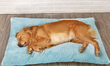 Dog sleeping on a blue pet bed against a brick wall.