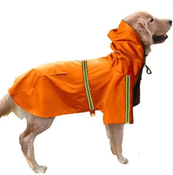 Dog wearing an orange raincoat on a white background