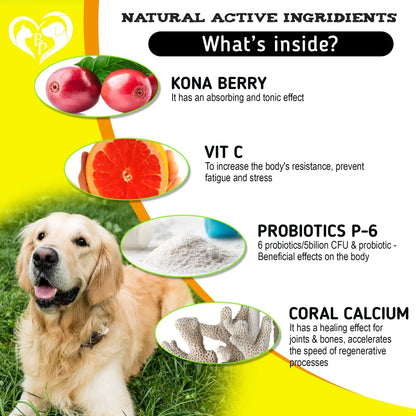 Dog on grass with natural active ingredients labeled including Kona Berry, Vit C, Probiotics P-6, and Coral Calcium.