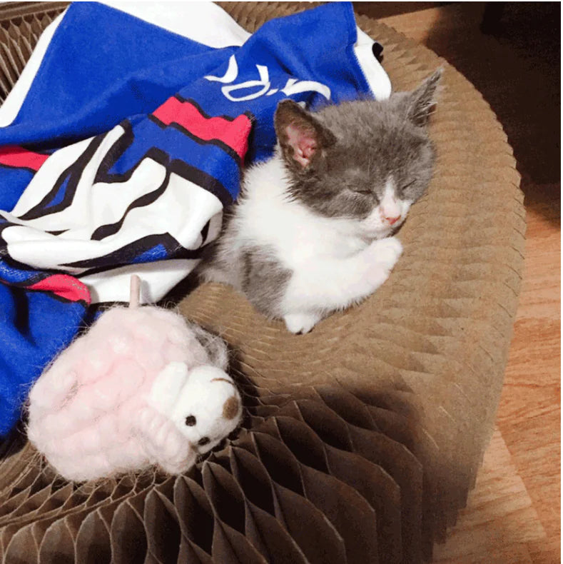 Transformable Cat Scratching Board and Toy (Corrugated)